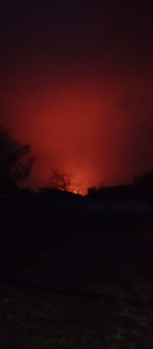 Фото автора.