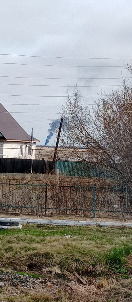 Фото автора.