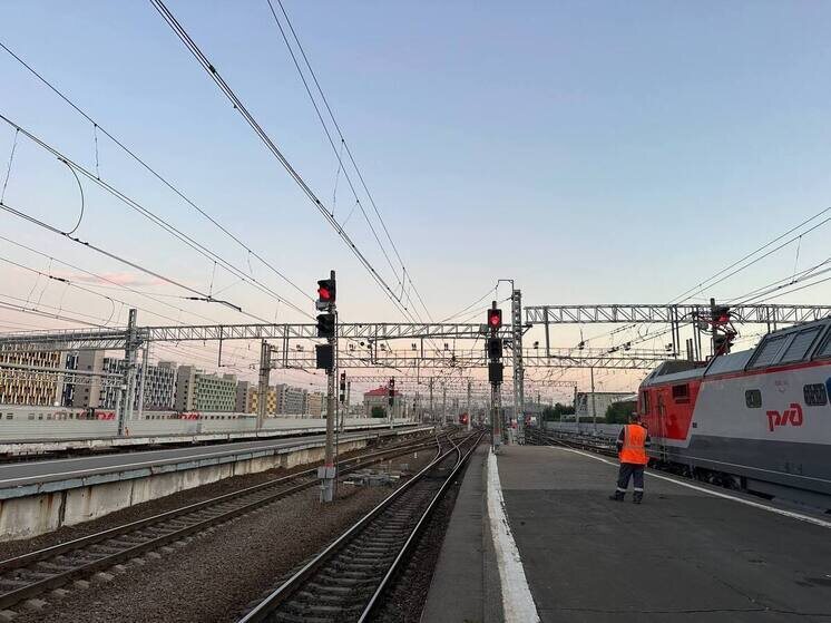     Фото: архив МК в Питере