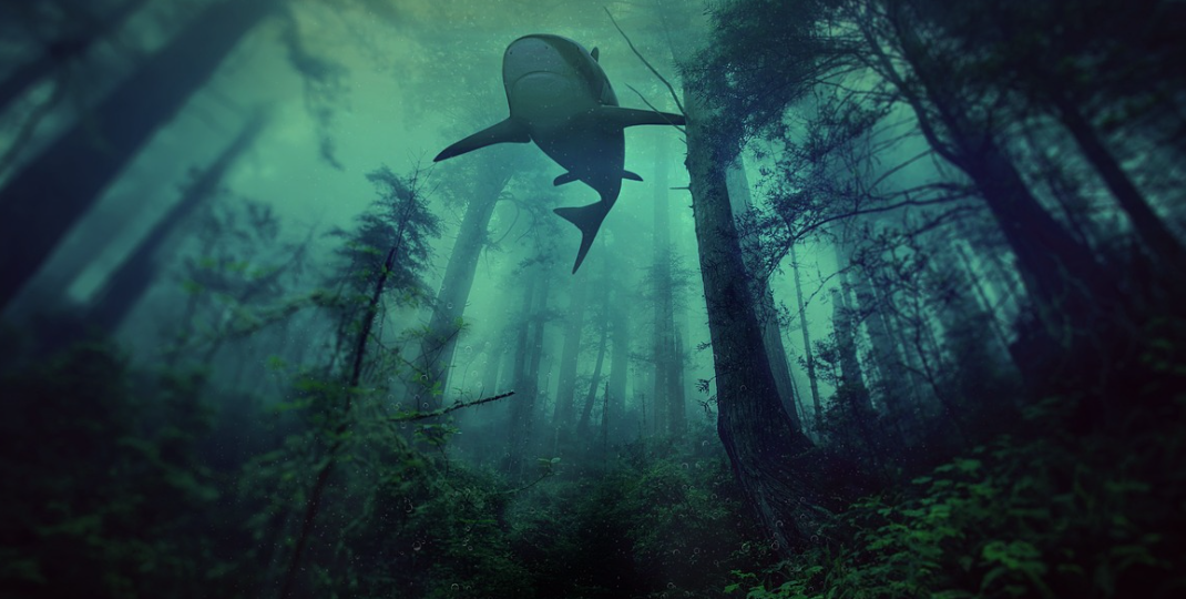 Подводные лесорубы: зачем добывают деревья со дна и почему они ценнее обычных