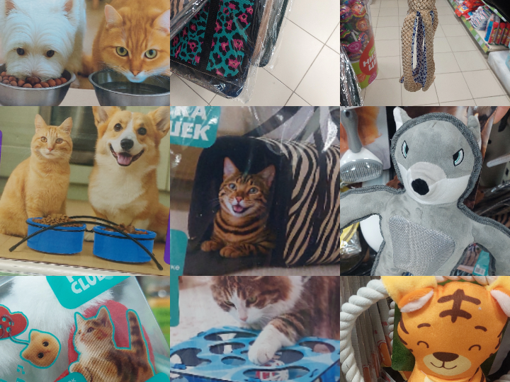 🐱 FIX PRICE SHOCK! Посмотрите это ЗООМАГАЗИН — такого не было! 😱🐶