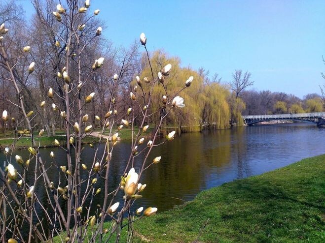 Фото из открытых источников 