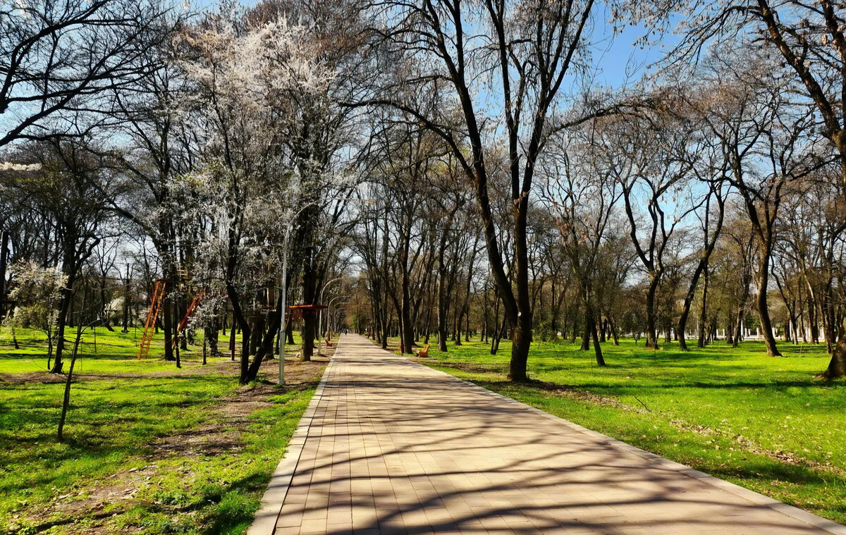 Фото из открытых источников 