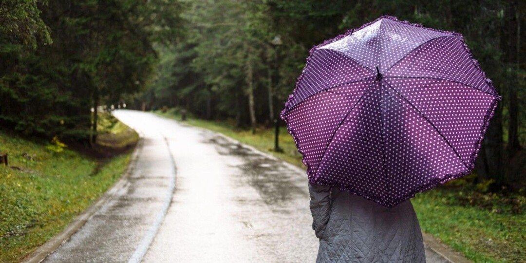 Будут ли заморозки в мае 2026: прогноз по регионам России