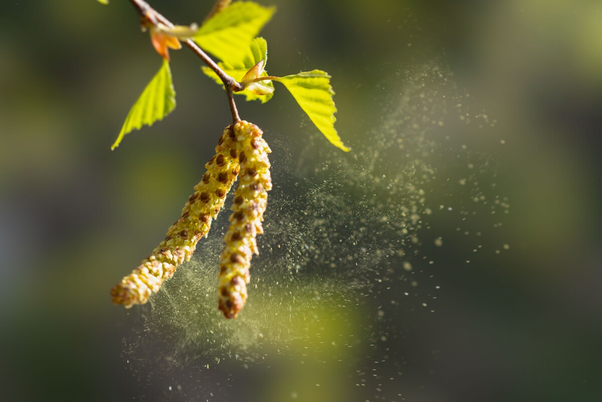 Фото: Shutterstock/FOTODOM/Igor Klyakhin