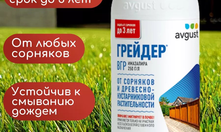 Купила самый дорогой гербицид — и чуть не убила своё поле с туями. Разбор по действующим веществам