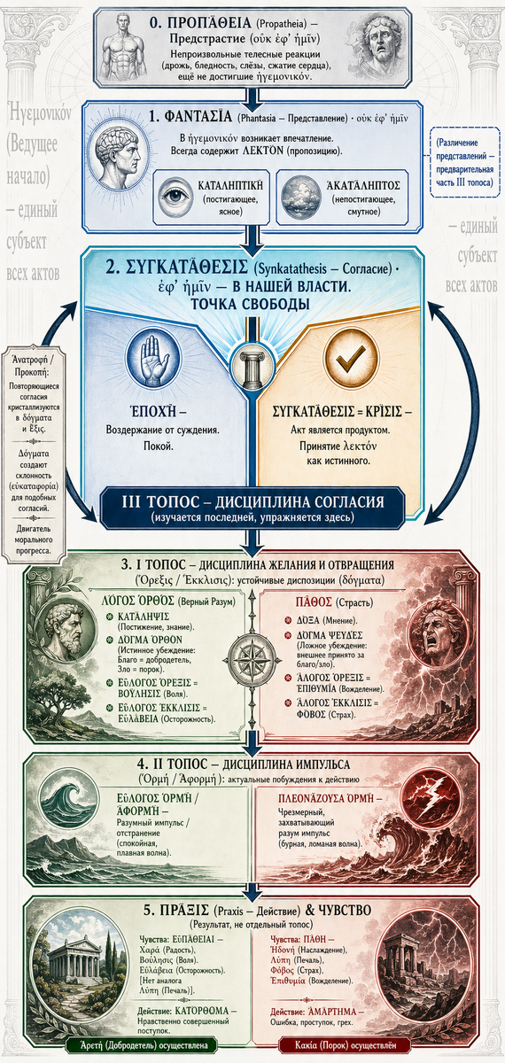 Топосы и система восприятия