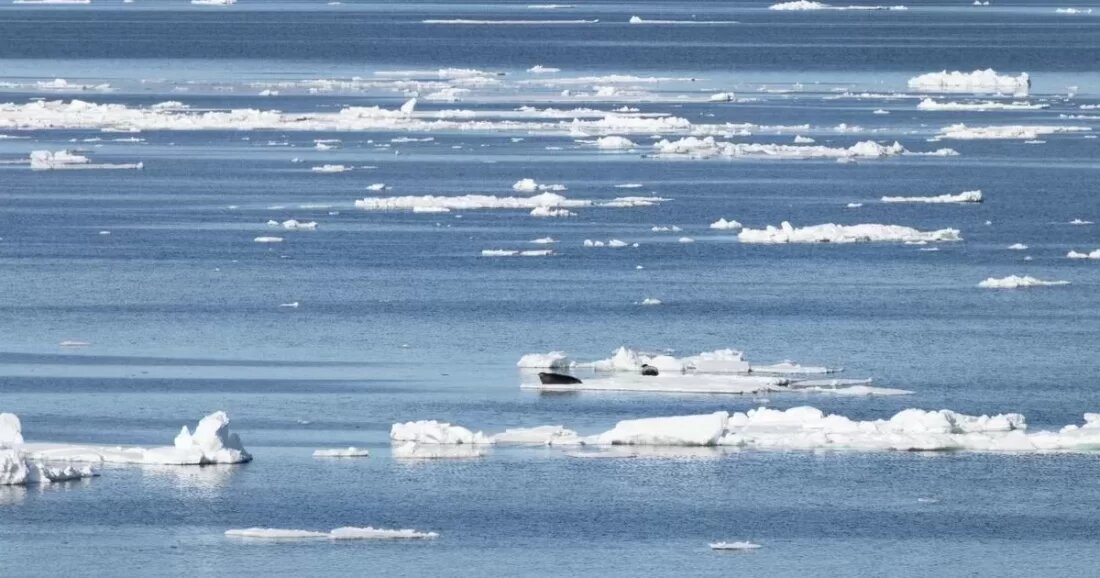    Илья Тимин / РИА Новости