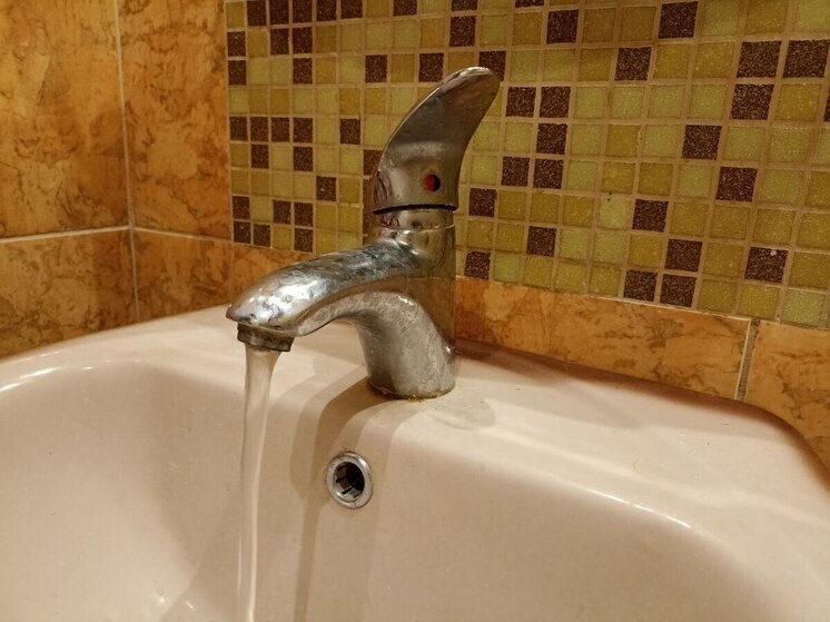     Фото: архив «МК в Ленобласти».