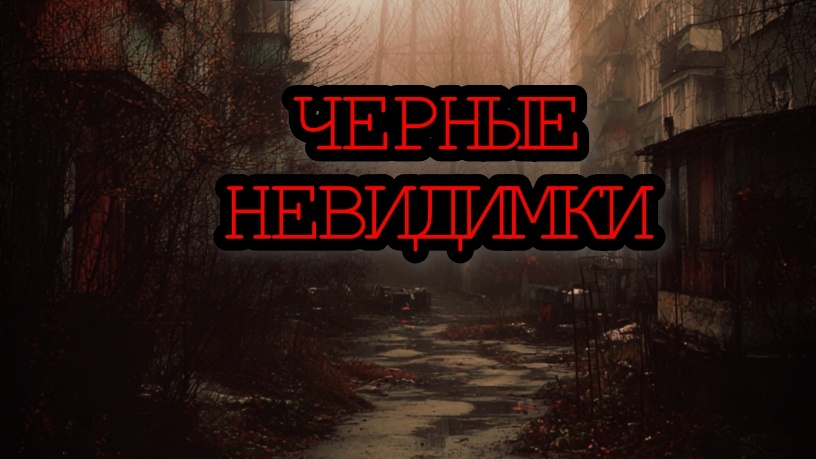 Отрывок из моей книги "Тень над Зареченском. Черные Невидимки"