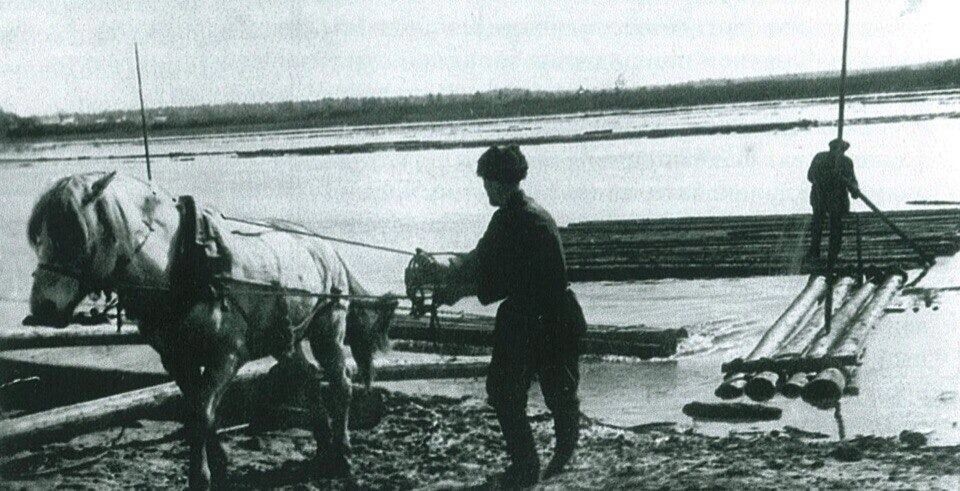    Доставка леса к комбинату. 1930-е годы   Тюмень до нашей эры / https://vk.com/tyumengrad