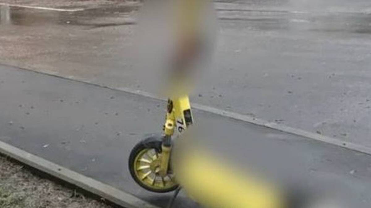    Фото: Прокуратура Московской области / Telegram