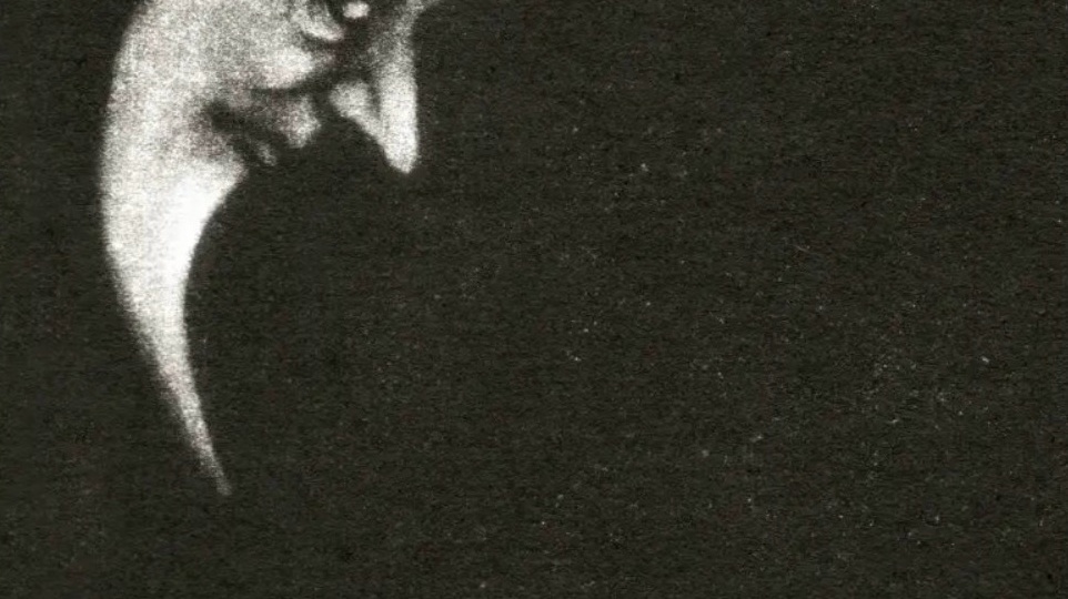 Рецензия: CRIPPLED BLACK PHOENIX - Sceaduhelm (2026, Post-Rock, Post-Metal, Experimental)