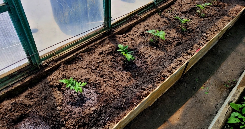 С первой грозой нас или моя вторая профессия — внештатный предсказатель погоды