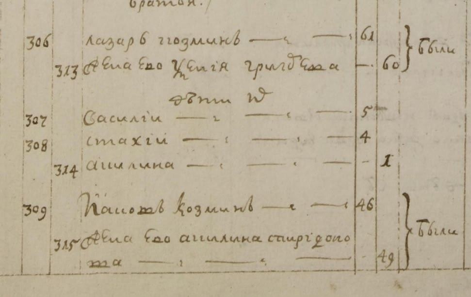 1738 год Исповедные Росписи Дремяцкий Погост под номером 309 Яковь Кузми Цгиа СПб. Ф19 ОП 112 д15 стр 939