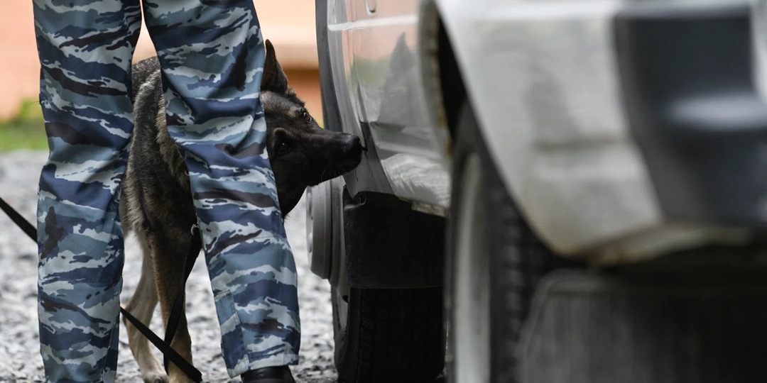 В Тюмени задержали жителя Санкт-Петербурга, который вез наркотики маме в Ноябрьск. Фото