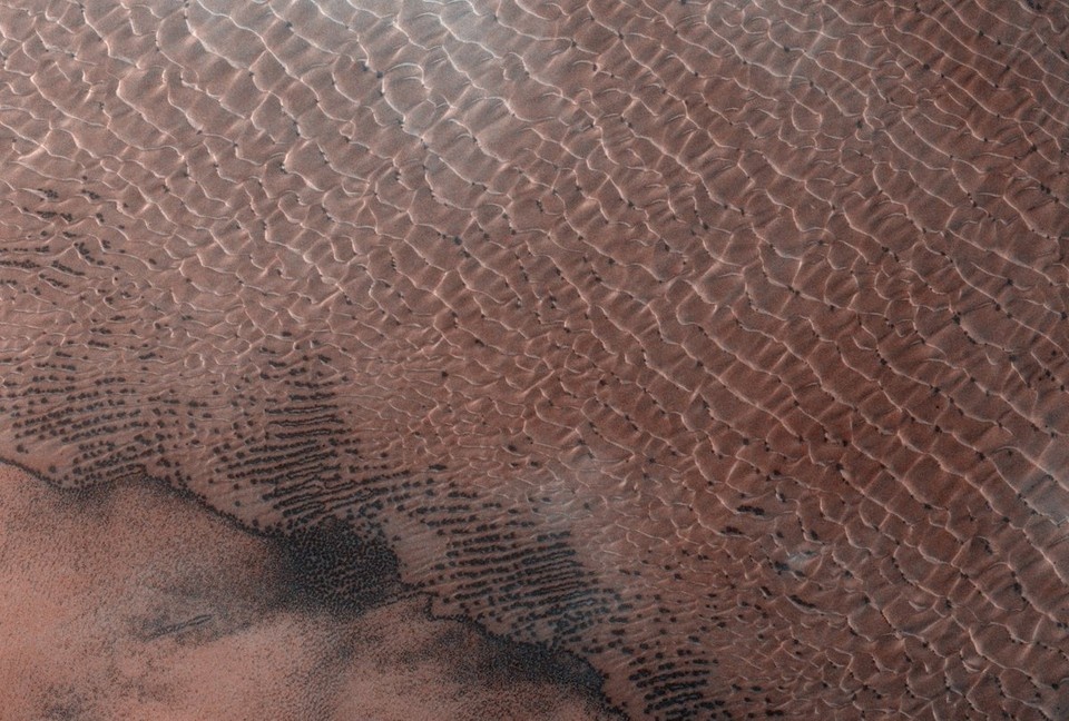    Mirror: Марсоход NASA нашел возможные доказательства существования инопланетян. Фото: Roscosmos/via Globallookpress.com/Global Look Press