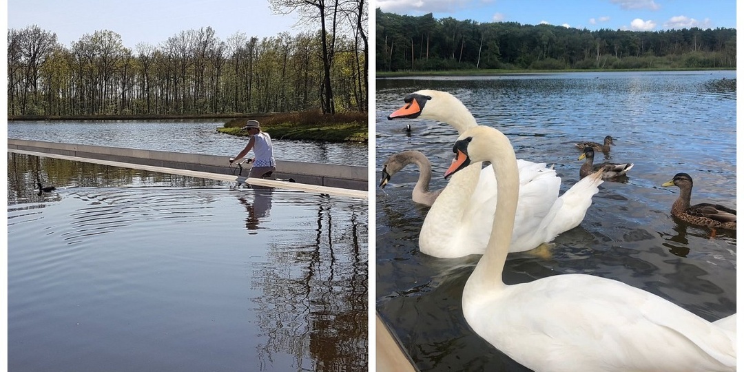 Оригинальная велодорожка, позволяющая рассекать водные просторы и общаться с утками