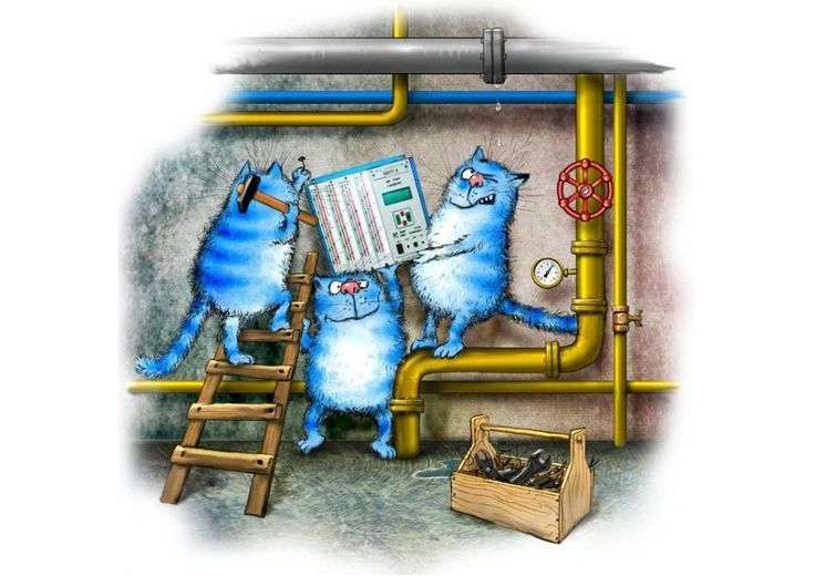 очаровательные коты Рины Зенюк