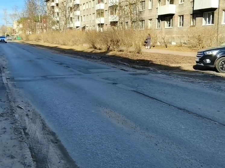     Скрин из видео ОНФ Архангельской области