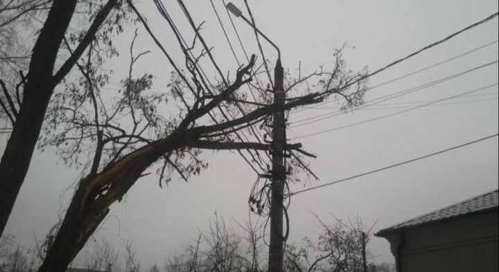 Из-за мокрого налипания снега деревья упали на электролинии 