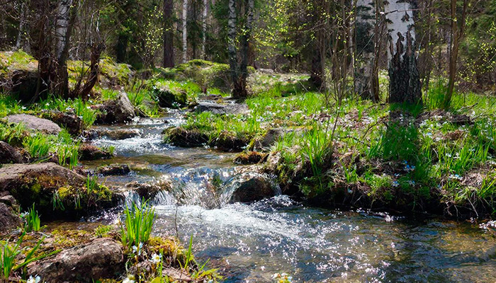 В народе 22 апреля отмечается Вадим Ключник, в этот день ключевая вода считается целебной. Фото: GigaChat