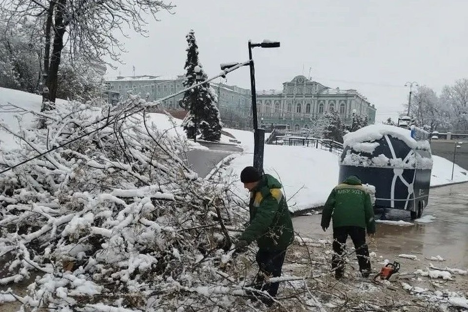    Мэрия просит жителей не приближаться к участкам, где ведутся работы по распилу и уборке. Фото: администрация Рязани.