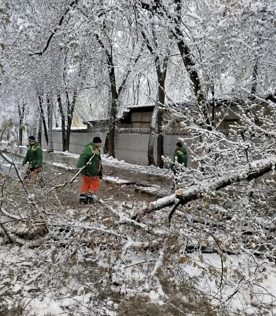    Коммунальные службы завершают работы по устранению последствий апрельского снегопада. Фото: администрация Рязани.