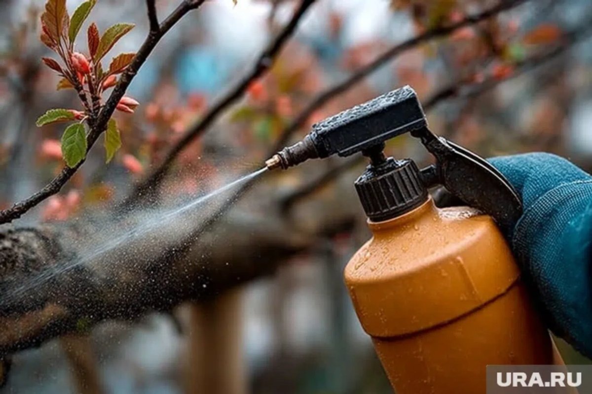    Средства для опрыскивания важно чередовать