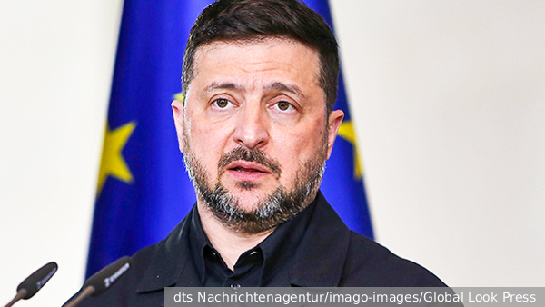     Фото: dts Nachrichtenagentur/imago-images/Global Look Press   
 Текст: Елизавета Шишкова