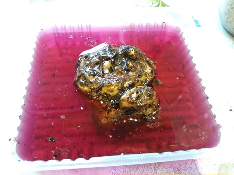 Клубень уже с ростками. Листайте