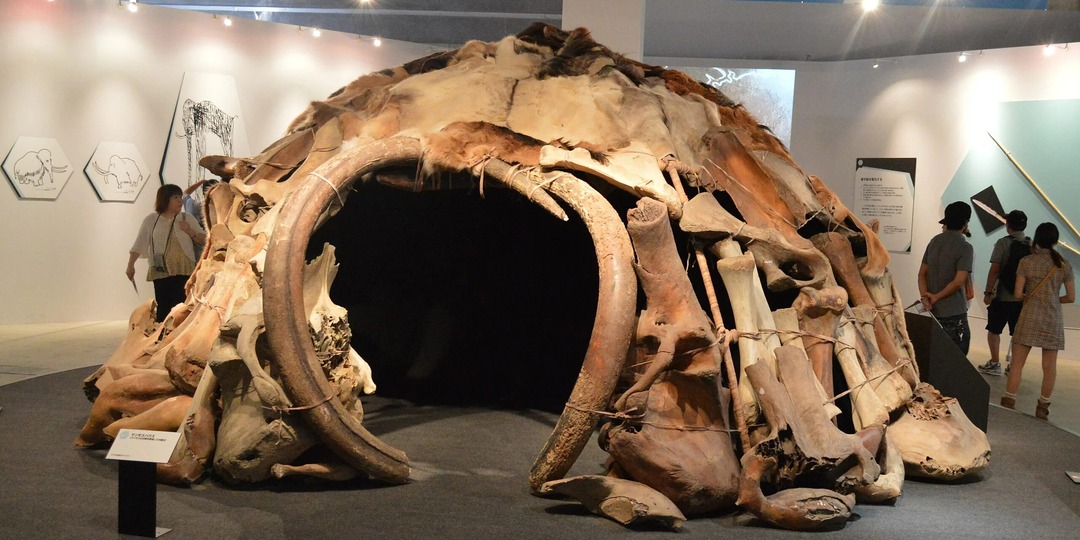 Зачем древние люди жили в строениях из костей мамонтов?