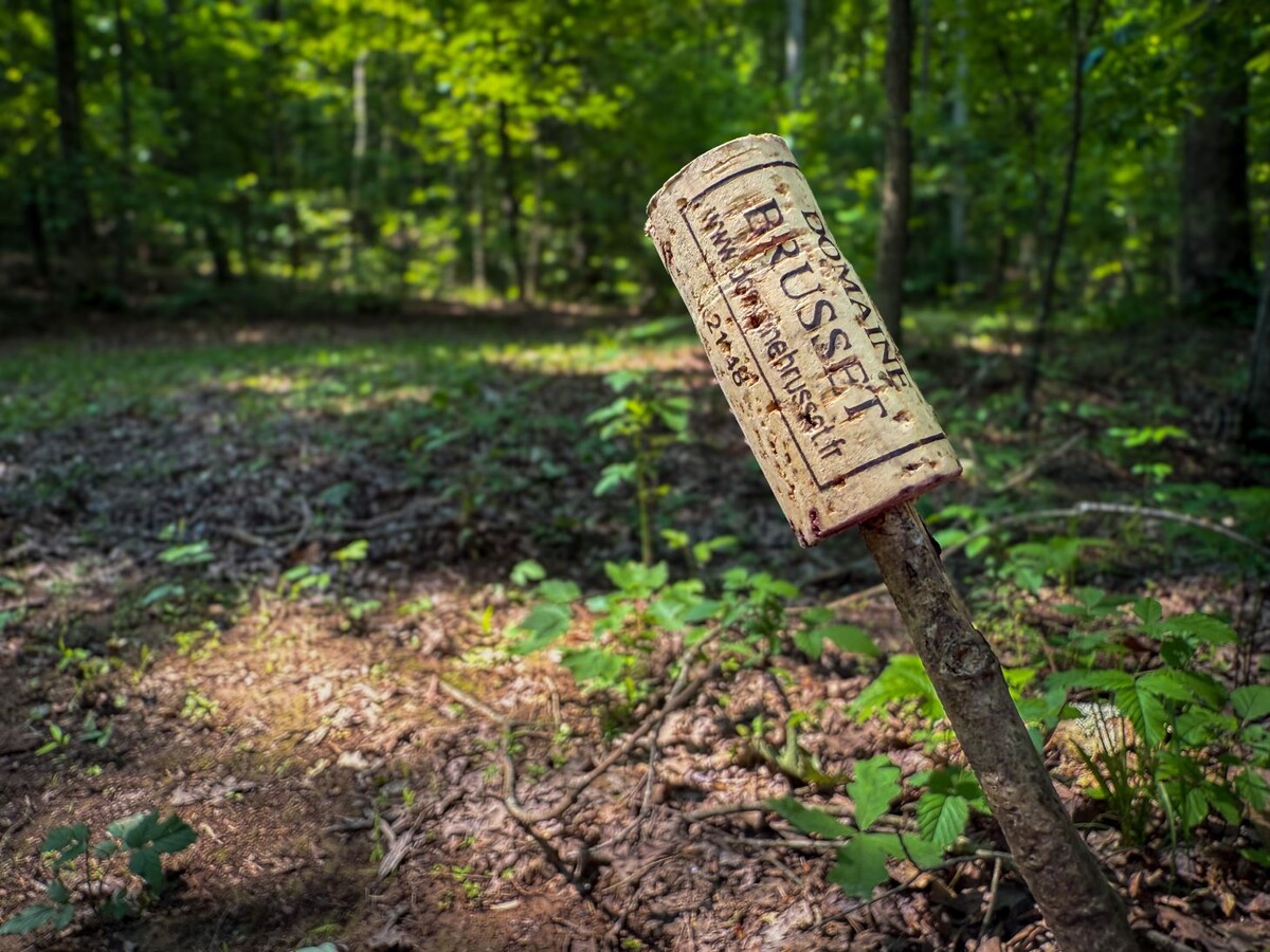 Пробки могут служить прочными (и ветрозащитными) метками на тропе