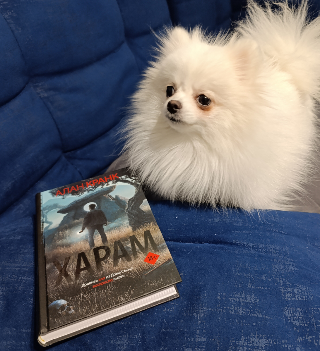 Наделавшую шуму книгу представляет сегодня Бэлла. 