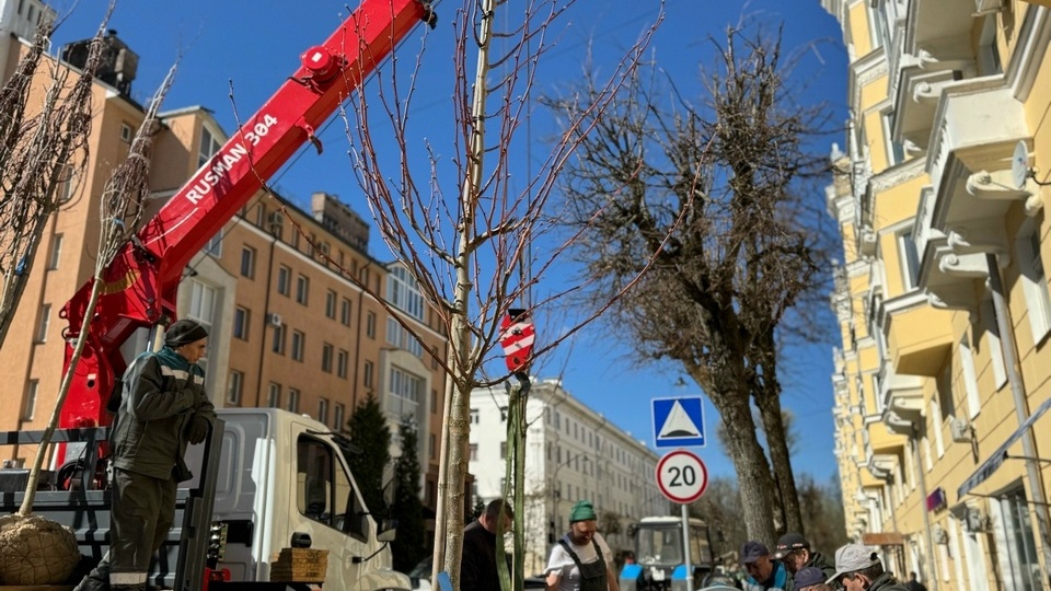 В центре Смоленска восстановят зелёную зону