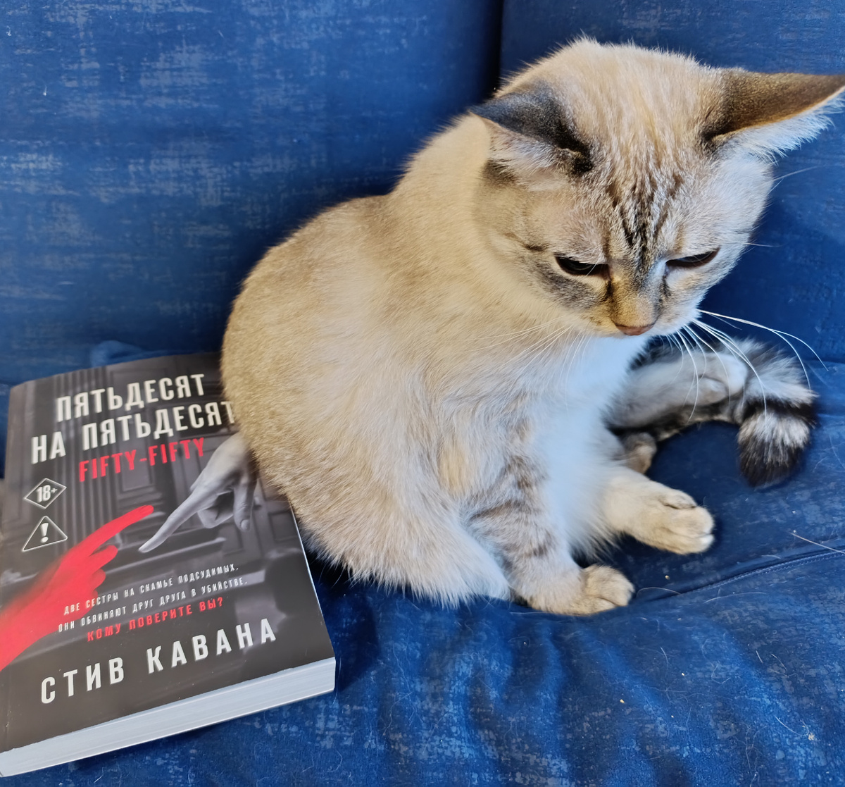 Сегодня читаемую книгу взялась представлять Дженька. 