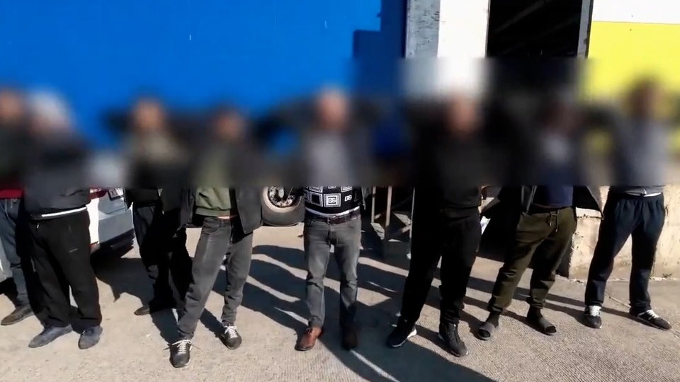 Более сотни иностранцев нелегально работали на плодоовощной базе под Краснодаром