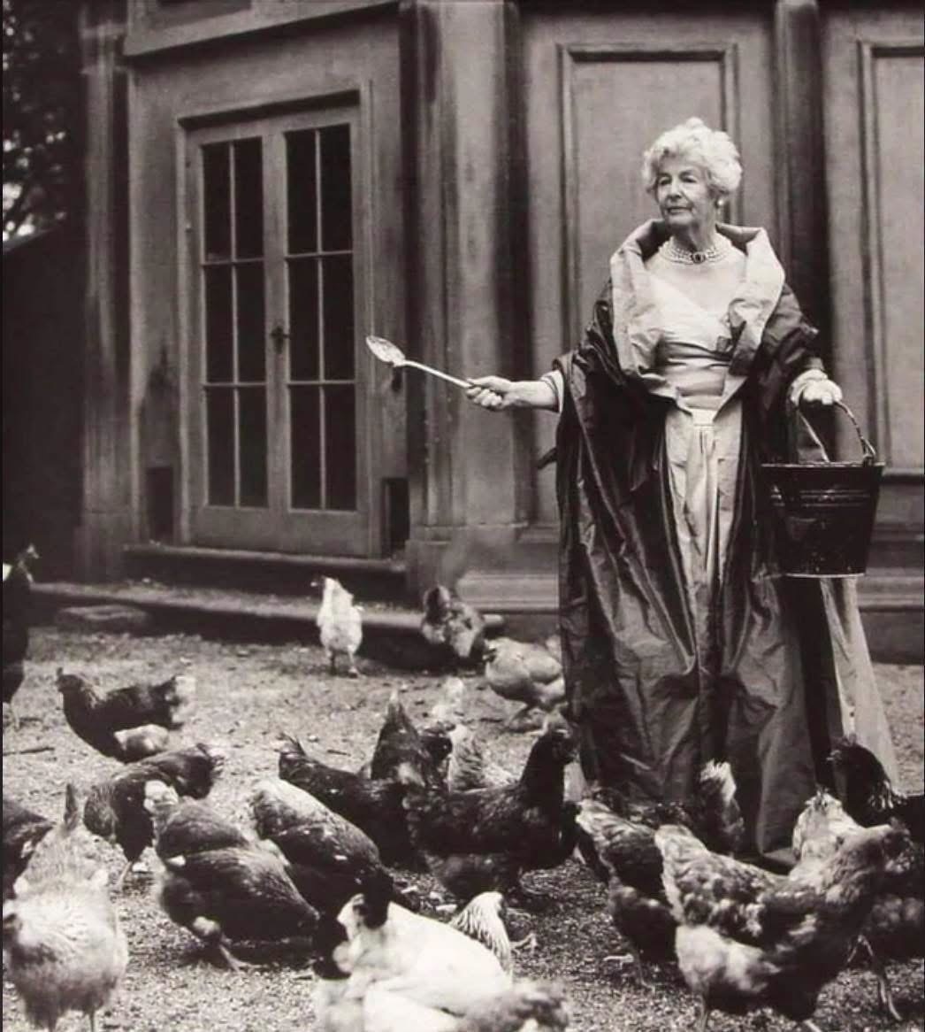 Герцогиня Девоншир кормит кур в наряде от Бальмэн. Фотограыия сделана для журнала Vogue. Фотография из открытого источника. 