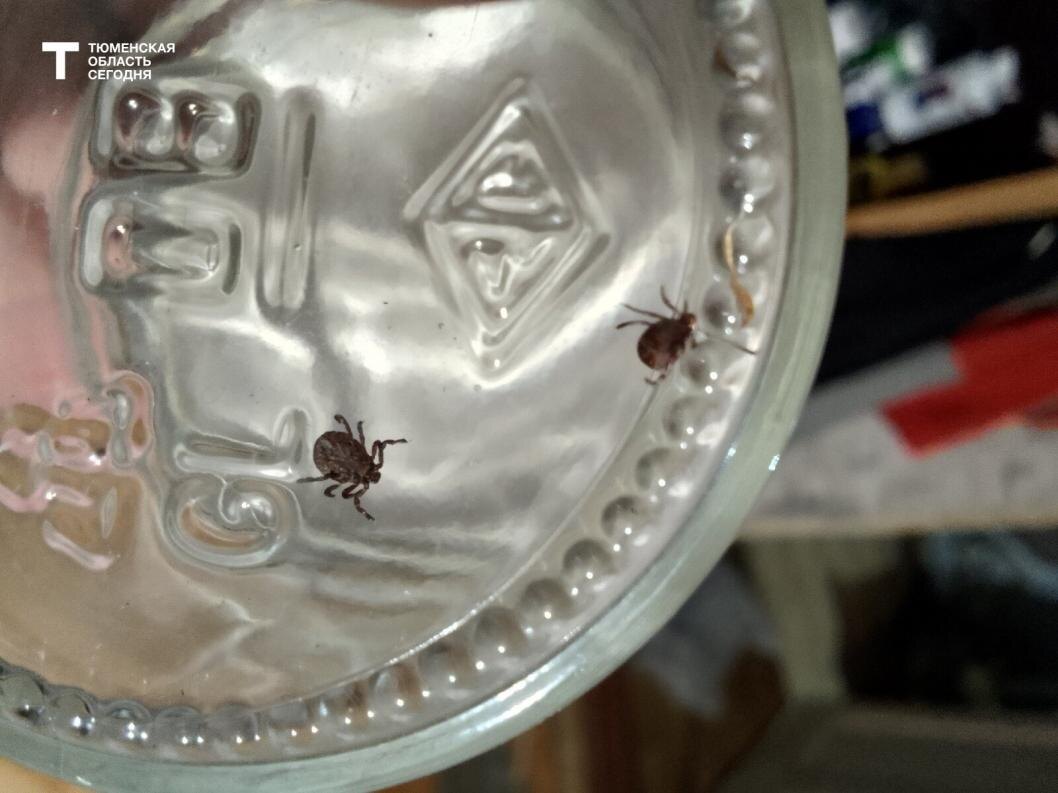  Фото Евгении Ноговициной