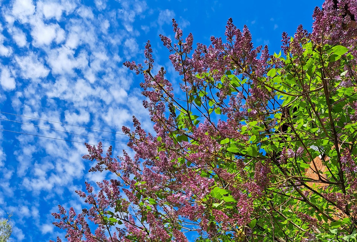Никаких тревожных изменений сейчас не фиксируется.  Фото: Фото: ФедералПресс / Вера Романескул