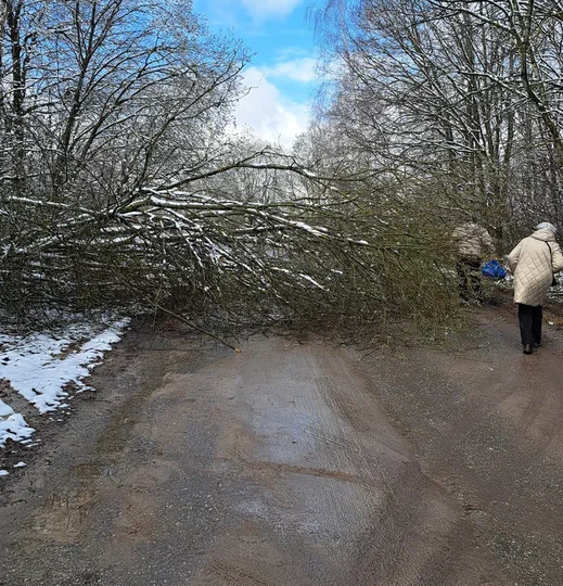 Про то, как я создала пробку на дороге. И про коммунальные платежи, сколько я заплатила в этом месяце