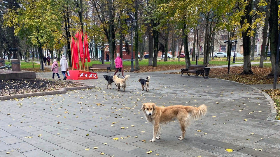 В России можно, а в Буларуси — нет. Рассказ переехавшего в Россию беларуса