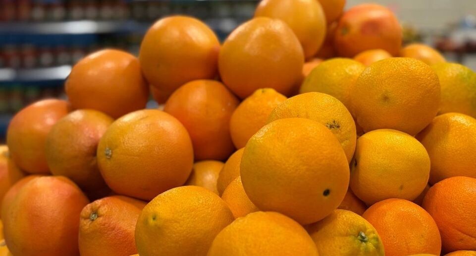    REGIONS/Полина Крачун