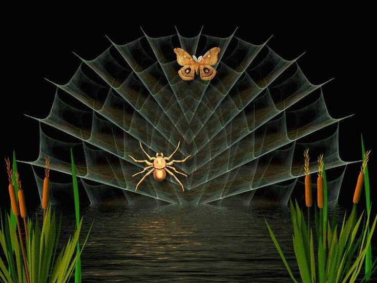 из открытого источника