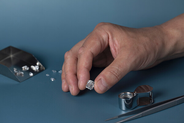 Shutterstock/EgolenaHK   📷