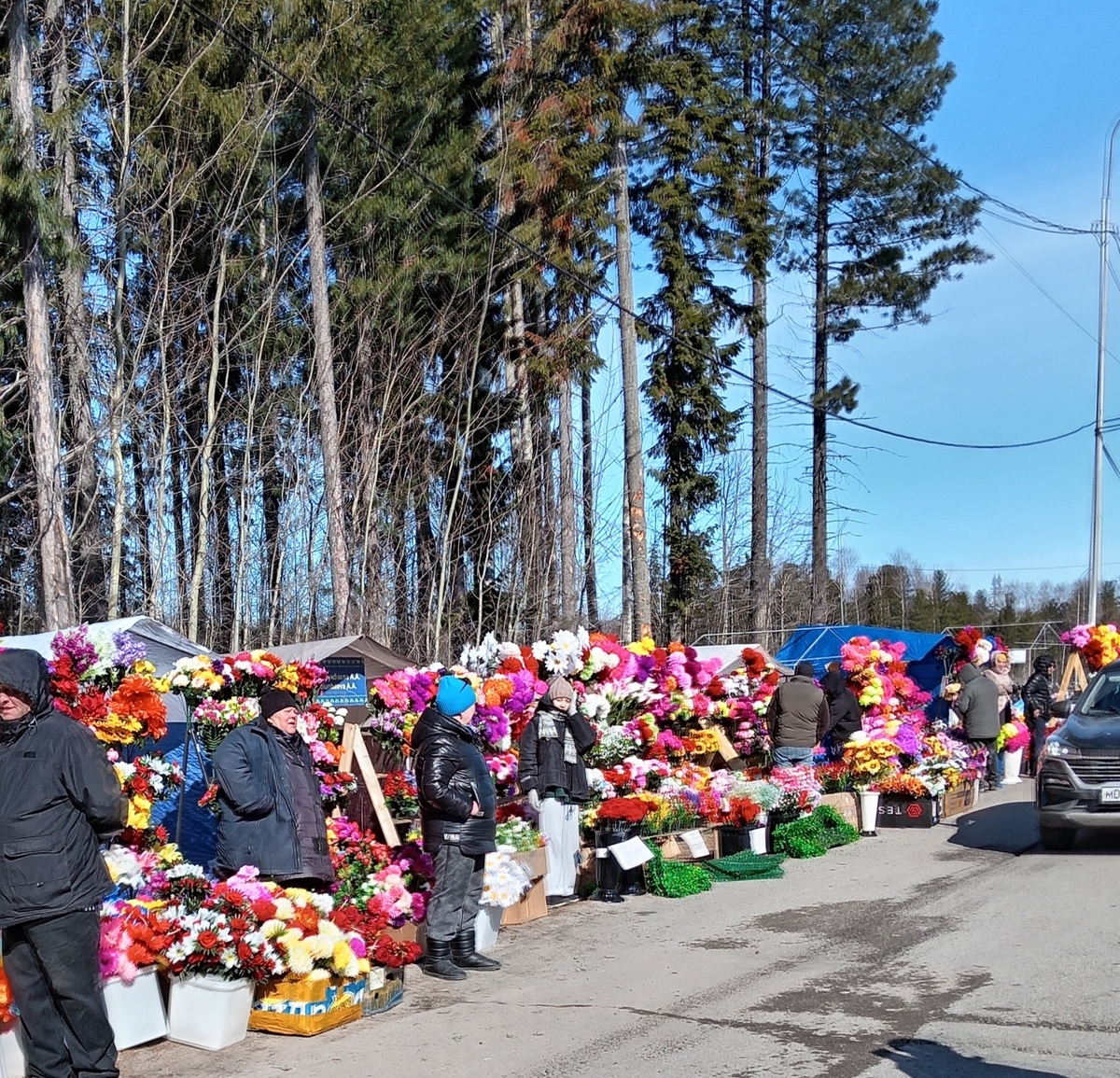 Фото автора.