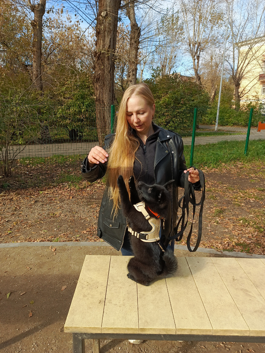 А это я, учу своего Вермута зайке