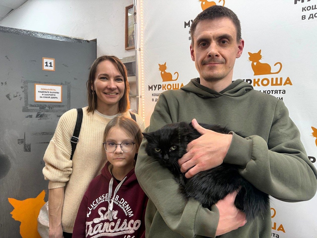 Кошечка дождалась счастья. 