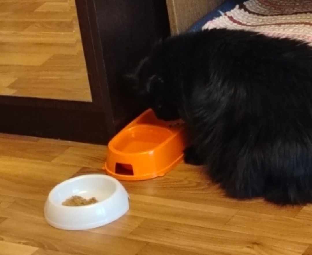 Вкусно в новом доме. 