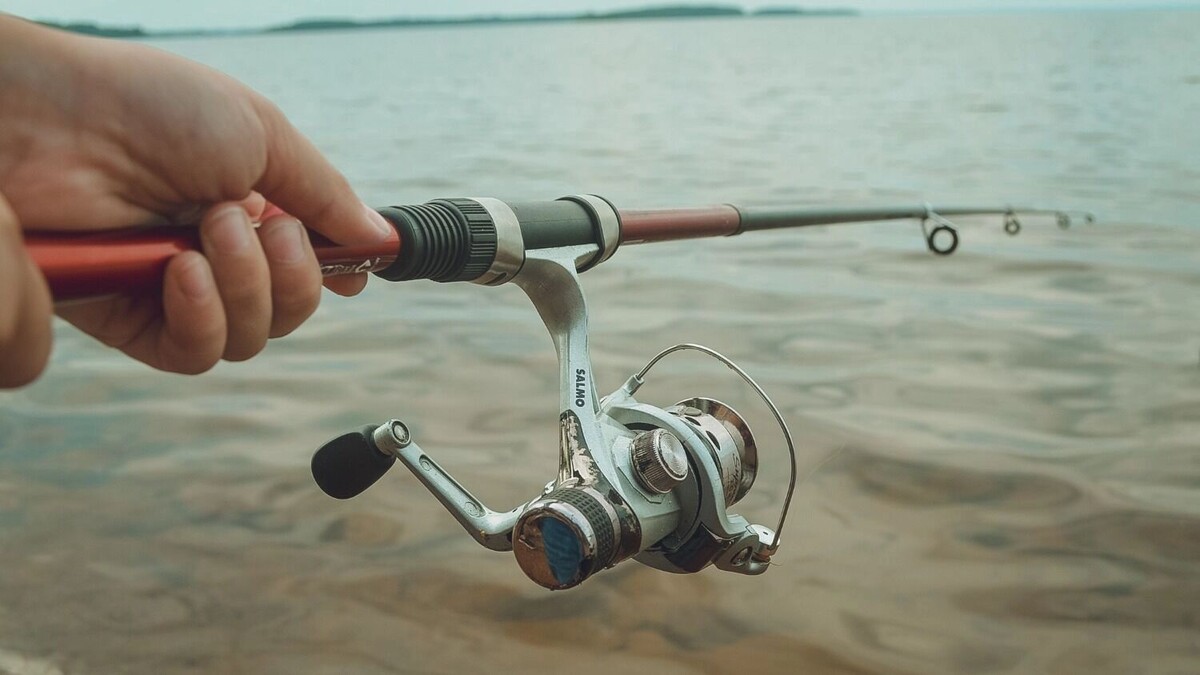    Одна поплавочная или донная удочка. С берега. Два крючка — не больше. С лодкой или мотором — прощай, снаряжение, здравствуй, штраф